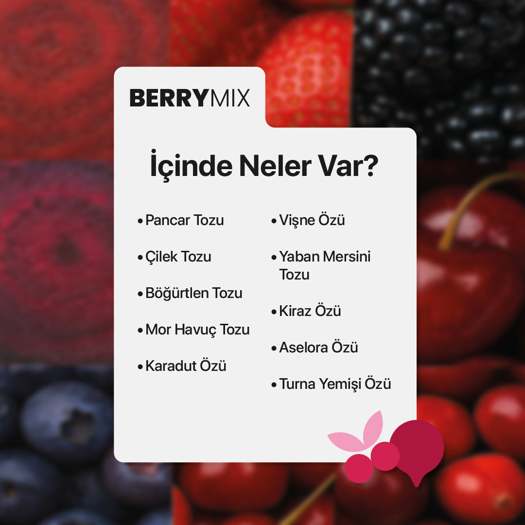 NUSTİL Berry Mix Orman Meyveli Toz Karışım 100g